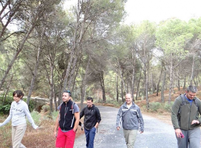 caminando entre los arboles